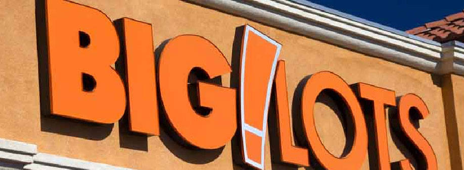 Big Lots Successfully Integrates Multiple Data Sets
