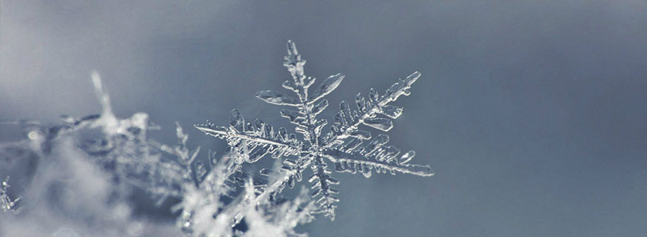 Report: Five Insights about the Shifting Retail Calendar