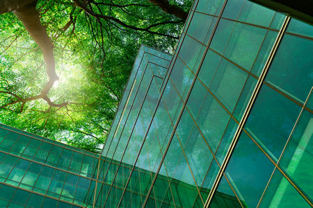 side of modern green glass building seen looking upwards with tree and sunlight far above